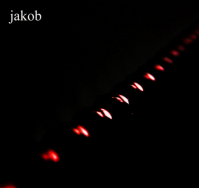 jakob - the diffusion of our inherent situation 7"