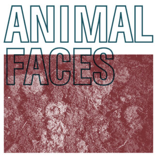solids / animal faces split 7"