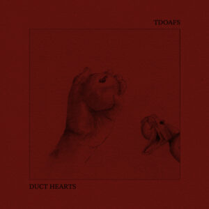 tdoafs / duct hearts split 6"
