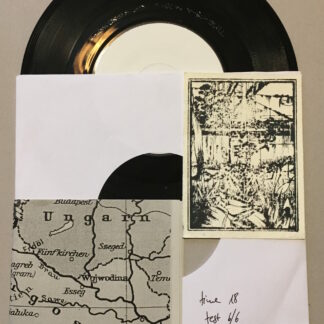 leave nothing but footprints, take nothing but photographs - chapter III 7" testpressing (empire! empire! (i was a lonely estate) / your neighbour the liar / smithsonian)