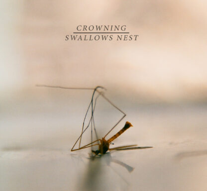 crowning / swallow's nest split 7"