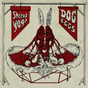 sheeva yoga / dog eggs split LP