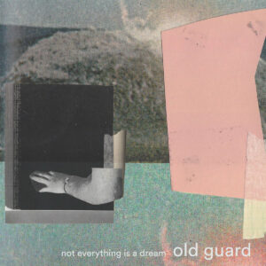 old guard - not everything is a dream 10"