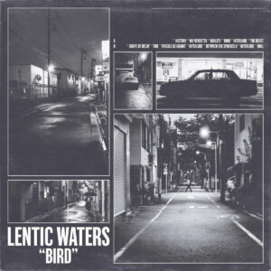 lentic waters - bird LP