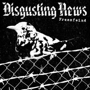 disgusting news - fressfeind 12"