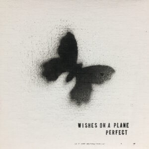 wishes on a plane - perfect