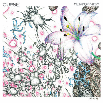 curse - metamorphism LP