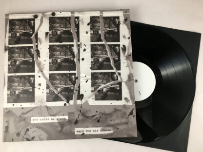you could be a cop / amid the old wounds split LP