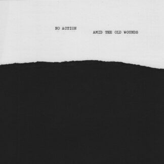 no action / amid the old wounds split 7"