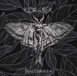 korasek - bialowieza LP