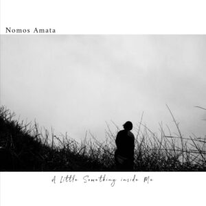 nomos amata - a little something inside me lathe 7"
