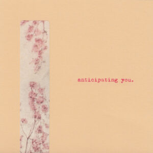 amid the old wounds - anticipating you.