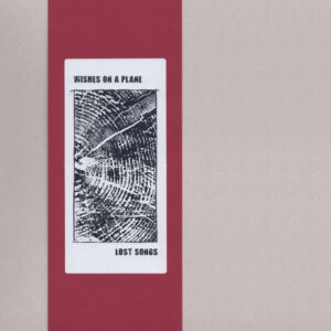wishes on a plane - lost songs LP