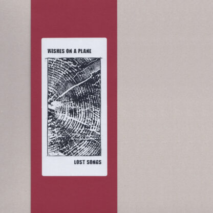wishes on a plane - lost songs LP