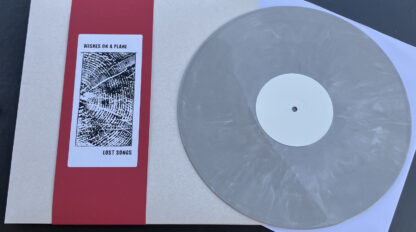 wishes on a plane - lost songs LP - light gray marbled vinyl