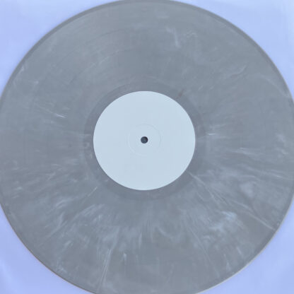 wishes on a plane - lost songs LP - light gray marbled vinyl
