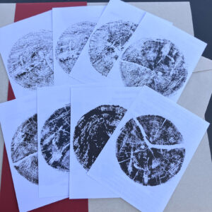 wishes on a plane - lost songs LP - inserts