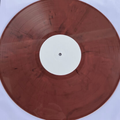 wishes on a plane - lost songs LP - dark red marbled vinyl