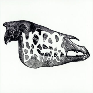 horsebastard / retortion terror split 7"