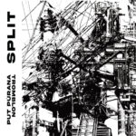 put purana / tromblon split LP