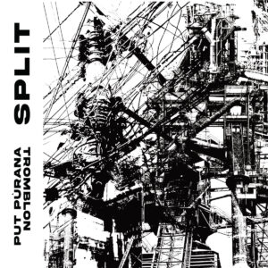 put purana / tromblon split LP