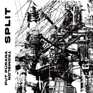 put purana / tromblon split LP
